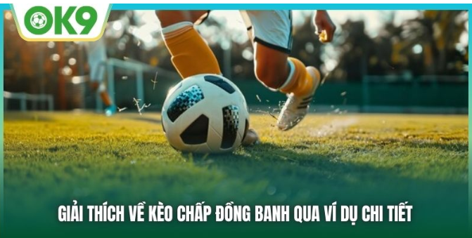 kham-pha-the-gioi-casino-truc-tuyen-day-soi-dong-tai-ok9-147